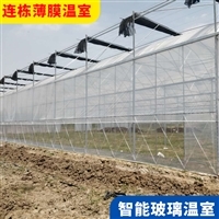 恩施巴东果蔬种植大棚 厂家直销与外遮阳大棚安装施工指南